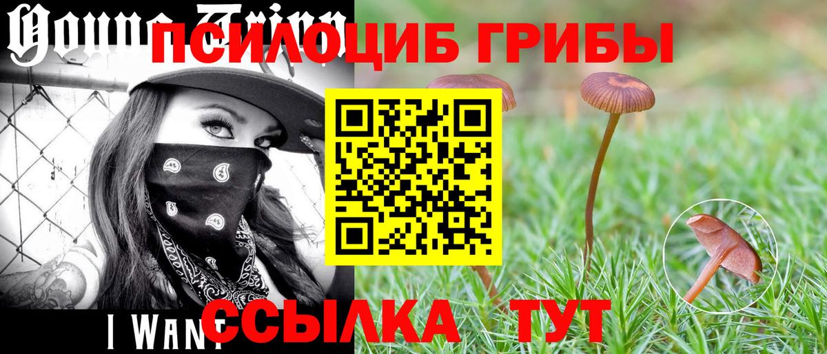 Галлюциногенные грибы Cubensis  Галлюциногенные грибы MAGIC MUSHROOMS  купить  цена  Вход с VPN  Советск 